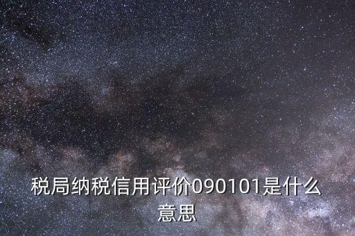 稅局101是什么意思，101是什么意思