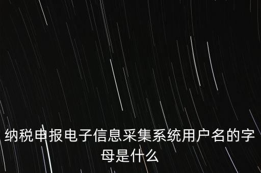 江蘇國(guó)稅電子稅務(wù)局登錄用戶名是什么意思，江蘇國(guó)稅網(wǎng)上辦稅服務(wù)廳的用戶名是什么