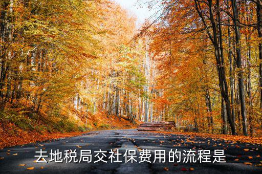 地稅局交社保需要什么手續(xù)費(fèi)，去地稅局交社保費(fèi)用的流程是
