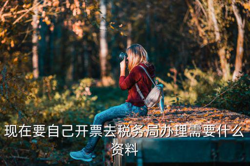 自己開專票要什么資料，開個(gè)人增值稅發(fā)票需要什么資料
