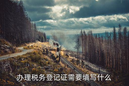 稅務登記地址填什么，填寫稅務登記地址是證件上的經(jīng)營地址還是批準設立機關的地址