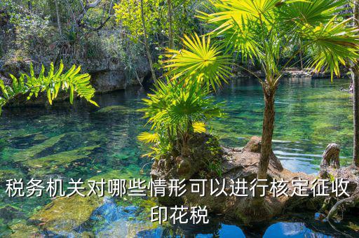 什么情況稅務(wù)機關(guān)核定，什么是稅務(wù)核定