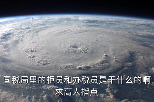 什么叫辦稅員，國(guó)稅局里的柜員和辦稅員是干什么的啊求高人指點(diǎn)