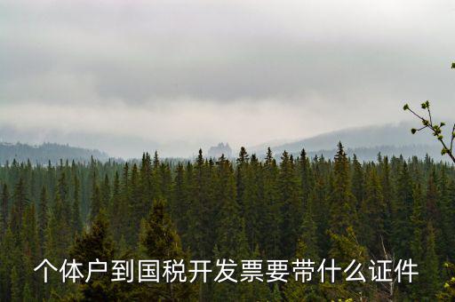 個(gè)體戶(hù)到國(guó)稅開(kāi)發(fā)票要帶什么證件