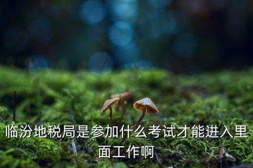 臨汾地稅局是參加什么考試才能進入里面工作啊