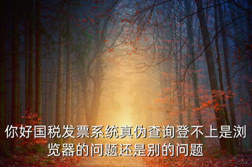 國稅登不上什么情況，為什么稅號(hào)密碼都對(duì)還是無法登錄國稅