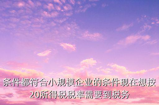 條件都符合小規(guī)模企業(yè)的條件現在想按20所得稅稅率需要到稅務