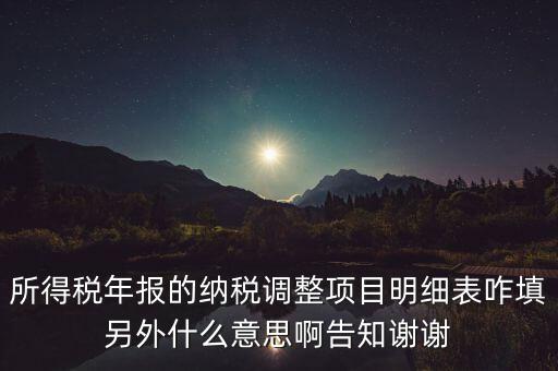 納稅調(diào)整項(xiàng)目明細(xì)表是什么意思，稅后調(diào)整是什么意思