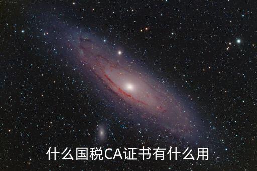 國(guó)稅ca登錄是什么，什么國(guó)稅CA證書(shū)有什么用