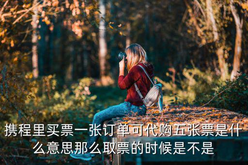 個(gè)人票代是什么意思嗎，動(dòng)漫中票代的意思