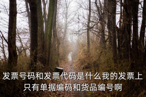 發(fā)票結(jié)存號碼是什么，發(fā)票號碼是指哪個號碼