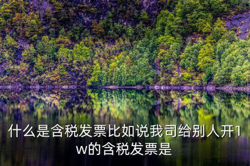 什么行業(yè)一般人發(fā)票含稅，什么類納稅人可以開增值稅專用發(fā)票