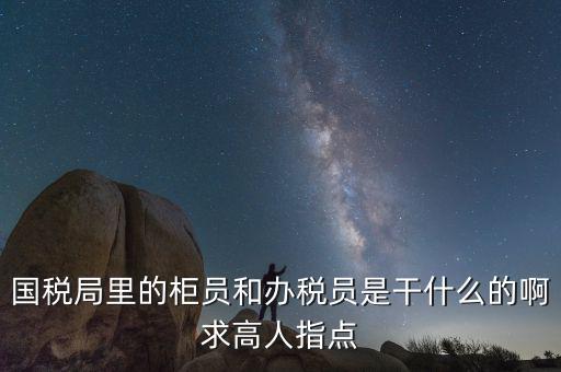 國(guó)稅志愿者可以做什么，國(guó)稅局里的柜員和辦稅員是干什么的啊求高人指點(diǎn)