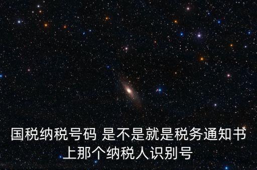 國(guó)稅稅務(wù)號(hào)是什么意思，國(guó)稅納稅號(hào)碼 是不是就是稅務(wù)通知書(shū)上那個(gè)納稅人識(shí)別號(hào)