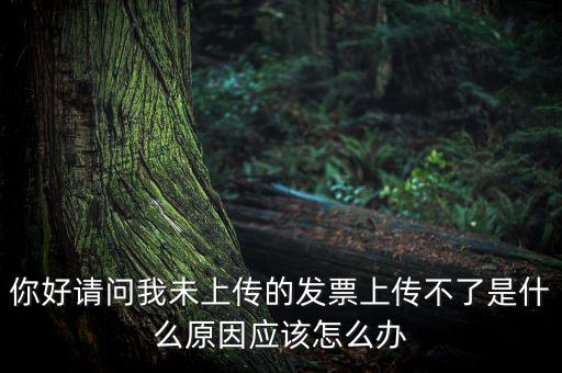 發(fā)票沒上傳什么意思，發(fā)票系統(tǒng)顯示O張未上傳發(fā)票可是在查不到提示查無此票怎么回