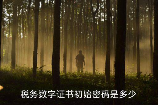 地稅數字證書的密碼是什么，稅控證書密碼是多少只有可能是8位嗎