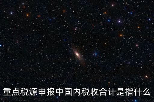 重點(diǎn)稅源申報中國內(nèi)稅收合計是指什么