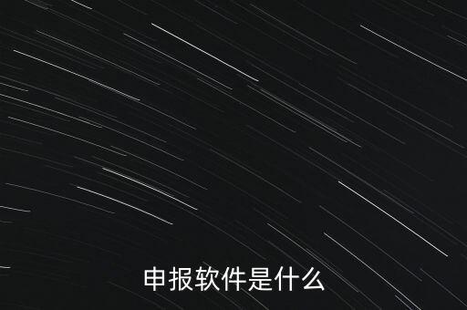 增值稅申報用什么軟件，申報軟件是什么