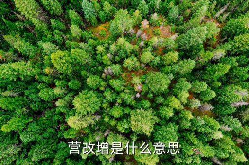 什么是營(yíng)改增發(fā)票，營(yíng)改增是什么意思
