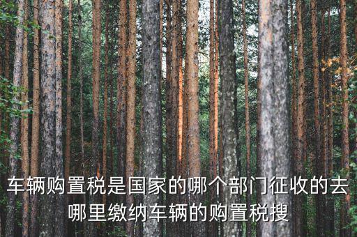 車購(gòu)稅局屬于什么，車輛購(gòu)置稅是國(guó)家的哪個(gè)部門征收的去哪里繳納車輛的購(gòu)置稅搜