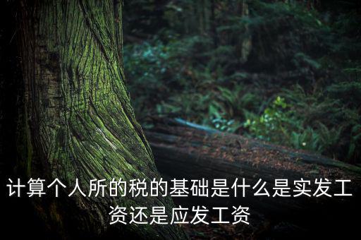 稅金的計算基礎(chǔ)是什么，計稅基礎(chǔ)是什么意思