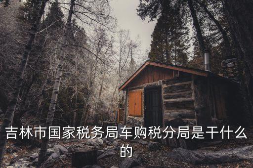 車購(gòu)稅局主要干什么，新車去地稅局干什么