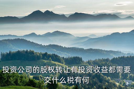 投資公司都要納什么稅，外商投資企業(yè)以設(shè)備投資需要交什么稅