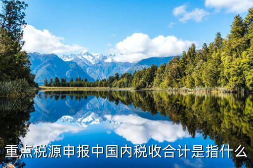 重點(diǎn)稅源填了有什么用，我的電腦重裝后重點(diǎn)稅源以前數(shù)據(jù)怎么查詢