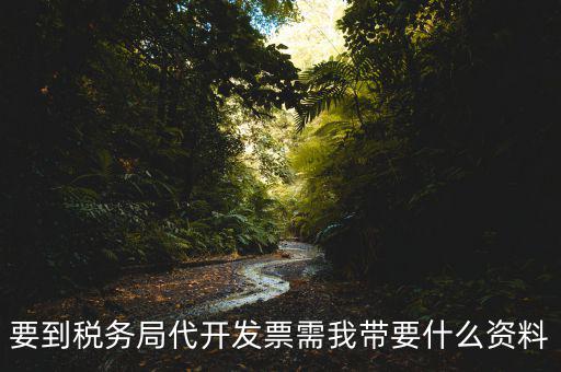去稅務(wù)局開票需要帶什么資料，去稅務(wù)局開票的話需要帶什么材料呢