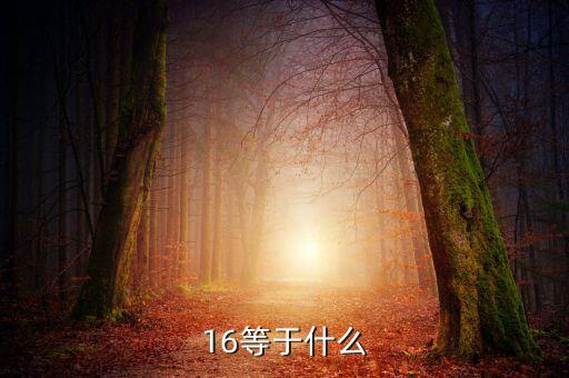 什么深圳1 6政策指，16等于什么