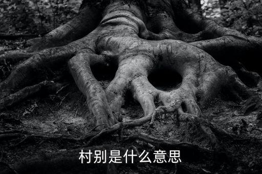 稅務(wù)所村審是什么意思，村別是什么意思