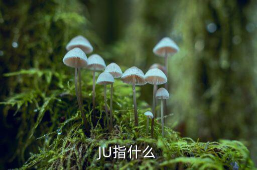 云南話ju什么意思，ju是什么意思