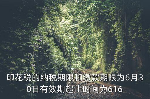 繳款期限什么意思，滯納金是什么意思
