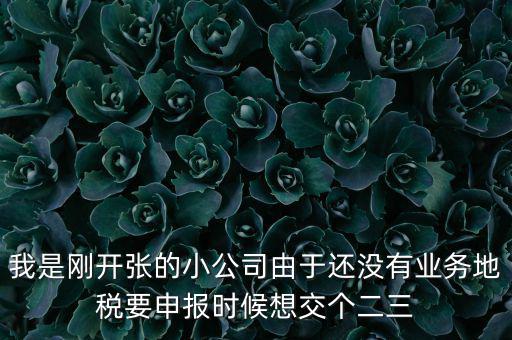 業(yè)務地稅是什么意思，利潤表里主營業(yè)務稅金及附加是國稅還是地稅征收呢親們幫忙解釋