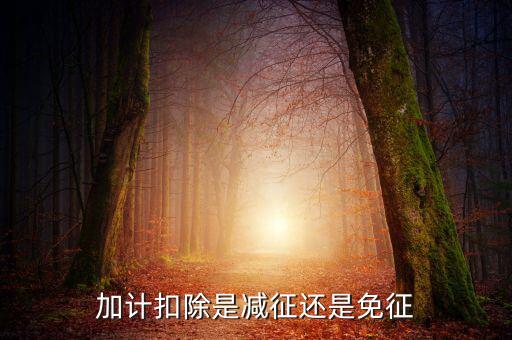 什么叫做加計(jì)扣除，加計(jì)扣除是減征還是免征