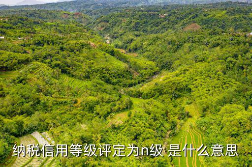 納稅信用等級b級是什么意思，納稅信用等級評定為n級 是什么意思