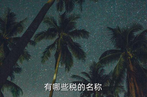 什么是稅收名稱大類，增值稅普通發(fā)票的商品名稱寫大類稅務(wù)局能通過嗎