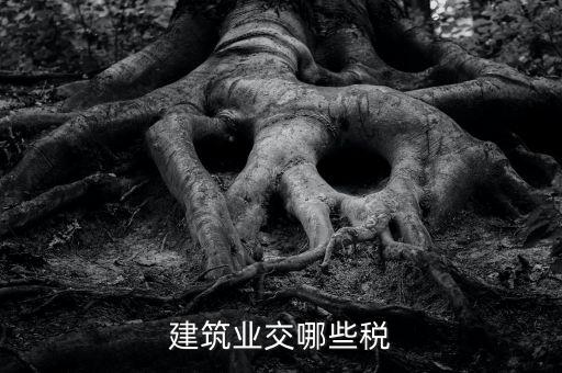 建筑設(shè)計(jì)交什么稅，建筑設(shè)計(jì)企業(yè)所得稅應(yīng)該交什么稅呀怎么抵扣