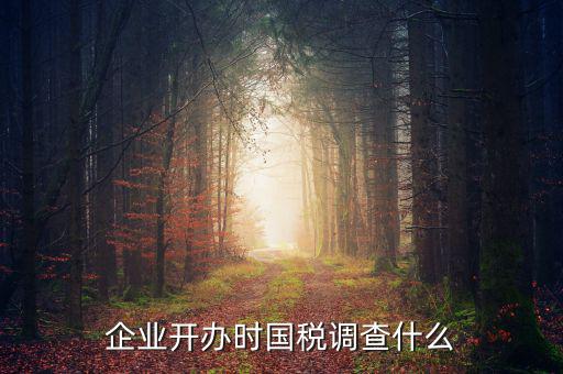 國(guó)稅稅收調(diào)查調(diào)查什么，國(guó)稅三稅調(diào)查是指哪三稅