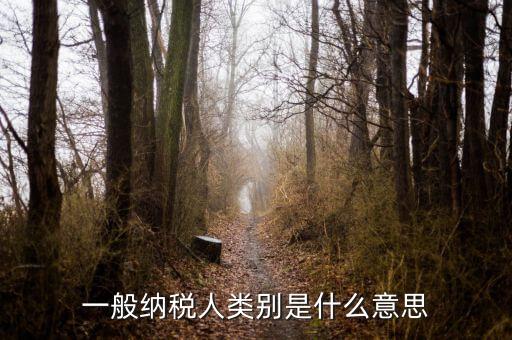 納稅人類別填什么，一般納稅人類別是什么意思