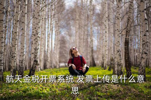 航天金稅是什么，航天金稅接口是什么意思呢