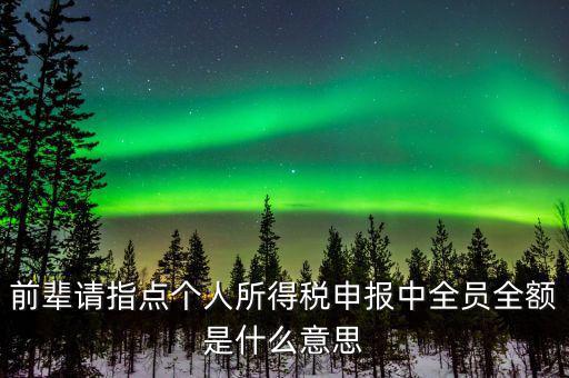 前輩請指點(diǎn)個(gè)人所得稅申報(bào)中全員全額是什么意思