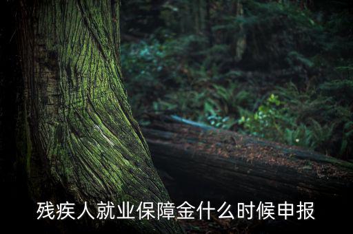 殘疾人保障金什么時候，殘疾人就業(yè)保障金怎么交什么時侯交會計分錄