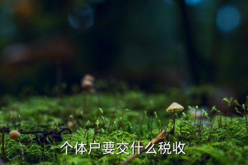 個體商戶納什么稅，個體戶要交什么稅收
