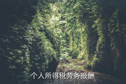 個稅什么情況勞務(wù)報酬，有關(guān)個稅勞務(wù)報酬