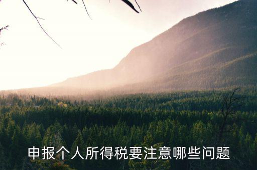 個體核稅要注意什么，個體戶營業(yè)執(zhí)照及稅務辦理時的注意事項