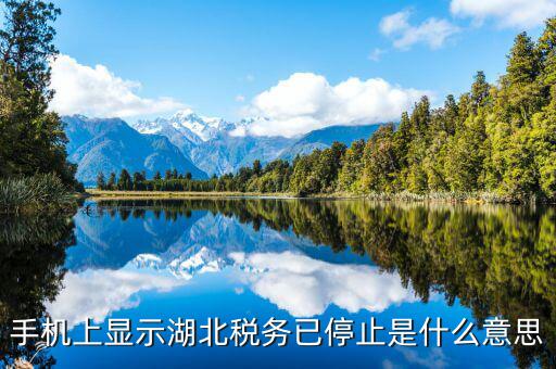 國稅業(yè)務(wù)停用什么意思，手機(jī)上顯示湖北稅務(wù)已停止是什么意思