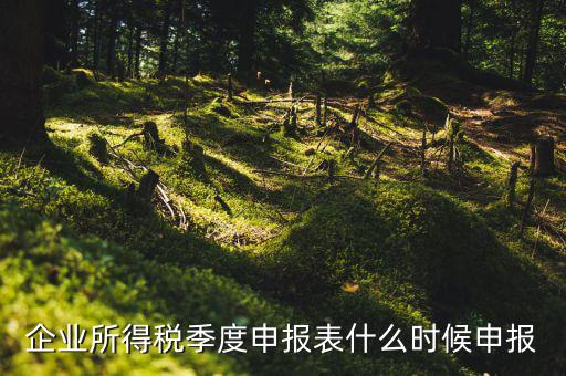 季度稅是在什么時(shí)候報(bào)，年度季度企業(yè)所得稅申報(bào)時(shí)間