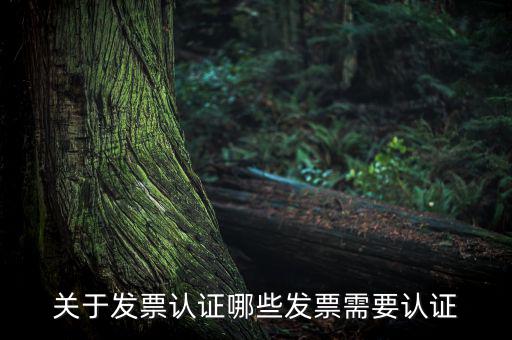 發(fā)票通過什么認(rèn)證嗎，關(guān)于發(fā)票認(rèn)證哪些發(fā)票需要認(rèn)證