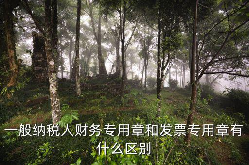 發(fā)票專用章上都有什么區(qū)別，一般納稅人財務專用章和發(fā)票專用章有什么區(qū)別